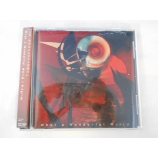 CD/pilgrim ピルグリム/What a Wonderful World ホワット・ア・ワンダフル・ワールド/中古/cd25513 | 