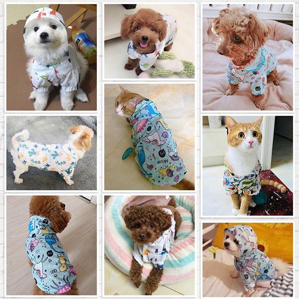 犬服 サボテン柄 チワワ トイプー さらさら 快適 春 春服 春用 ドッグウェア ドッグ ウェア 犬 服 安い 抜け毛対策 部屋  送料無料 |  | 09