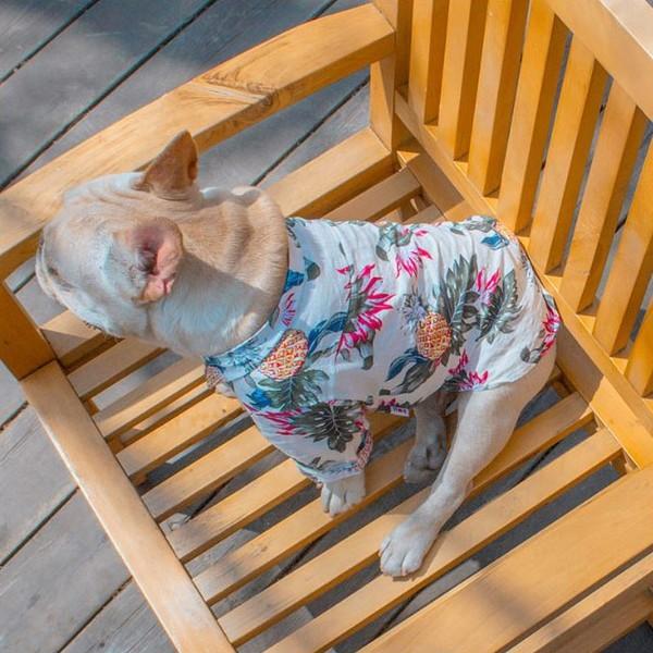 犬 アロハシャツ 犬服 ハワイ リゾート サーフィン ビーチ 海 ALOHA アロハ シャツ かりゆし 犬 服 安い チワワ トイプー 送料無料 |  | 17