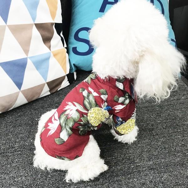 犬 アロハシャツ 犬服 ハワイ リゾート サーフィン ビーチ 海 ALOHA アロハ シャツ かりゆし 犬 服 安い チワワ トイプー 送料無料 |  | 06