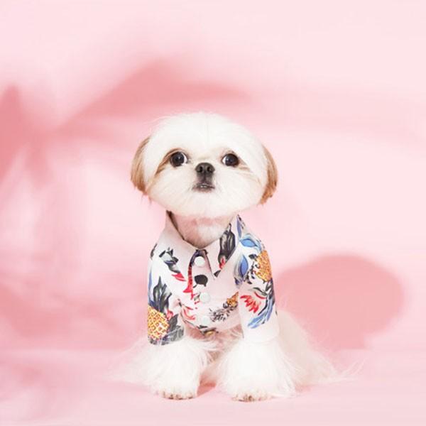 犬 アロハシャツ 犬服 ハワイ リゾート サーフィン ビーチ 海 ALOHA アロハ シャツ かりゆし 犬 服 安い チワワ トイプー 送料無料 |  | 11