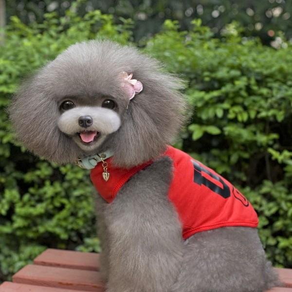 犬タンクトップ 犬服 USA ロゴ 部屋着 普段着 パジャマ 抜け毛対策 犬 服 安い チワワ トイプー ドッグウェア ドッグ ウェア お |  | 09