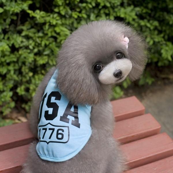 犬タンクトップ 犬服 USA ロゴ 部屋着 普段着 パジャマ 抜け毛対策 犬 服 安い チワワ トイプー ドッグウェア ドッグ ウェア お |  | 02