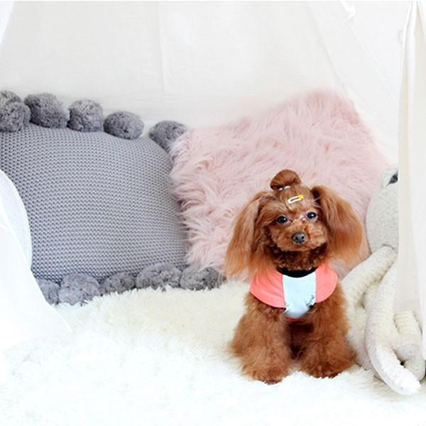 犬服 スイカ tシャツ 安い 犬 服 スイカ柄 抜け毛対策 部屋着 パジャマ 春 春服 チワワ トイプー ドッグウェア ドッグ ウ 送料無料 |  | 12