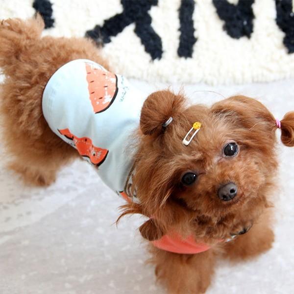 犬服 スイカ tシャツ 安い 犬 服 スイカ柄 抜け毛対策 部屋着 パジャマ 春 春服 チワワ トイプー ドッグウェア ドッグ ウ 送料無料 |  | 13