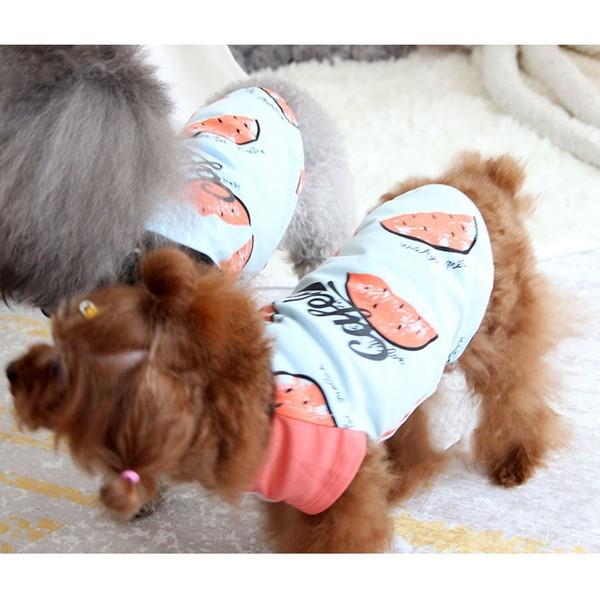犬服 スイカ tシャツ 安い 犬 服 スイカ柄 抜け毛対策 部屋着 パジャマ 春 春服 チワワ トイプー ドッグウェア ドッグ ウ 送料無料 |  | 14