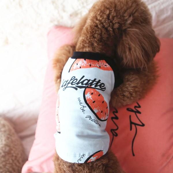 犬服 スイカ tシャツ 安い 犬 服 スイカ柄 抜け毛対策 部屋着 パジャマ 春 春服 チワワ トイプー ドッグウェア ドッグ ウ 送料無料 |  | 16