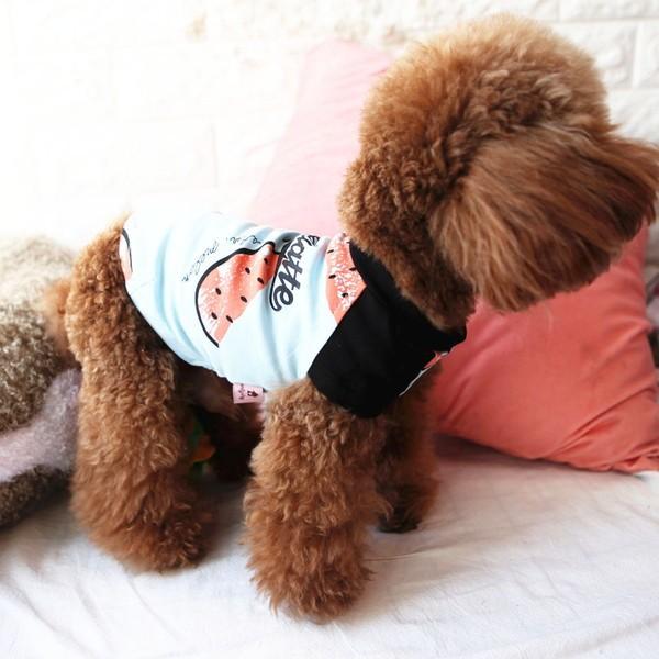 犬服 スイカ tシャツ 安い 犬 服 スイカ柄 抜け毛対策 部屋着 パジャマ 春 春服 チワワ トイプー ドッグウェア ドッグ ウ 送料無料 |  | 18