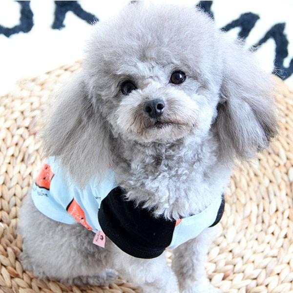 犬服 スイカ tシャツ 安い 犬 服 スイカ柄 抜け毛対策 部屋着 パジャマ 春 春服 チワワ トイプー ドッグウェア ドッグ ウ 送料無料 |  | 07