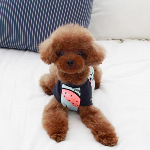 犬服 スイカ tシャツ 安い 犬 服 スイカ柄 抜け毛対策 部屋着 パジャマ 春 春服 チワワ トイプー ドッグウェア ドッグ ウ 送料無料 |  | 08