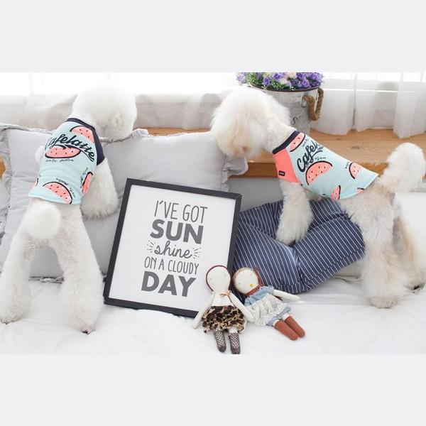 犬服 スイカ tシャツ 安い 犬 服 スイカ柄 抜け毛対策 部屋着 パジャマ 春 春服 チワワ トイプー ドッグウェア ドッグ ウ 送料無料 |  | 09