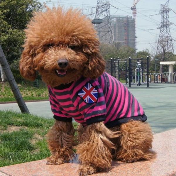 犬 服 セール ボーダー Tシャツ ユニオンジャック 抜け毛対策 パジャマ おしゃれ 犬 服 安い チワワ トイプー ドッグウェア ドッグ 0019 Wavy スポーツ用品 通販 Yahoo ショッピング