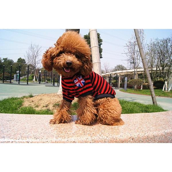 犬 服 セール ボーダー Tシャツ ユニオンジャック 抜け毛対策 パジャマ おしゃれ 犬 服 安い チワワ トイプー ドッグウェア ドッグ 0019 Wavy スポーツ用品 通販 Yahoo ショッピング