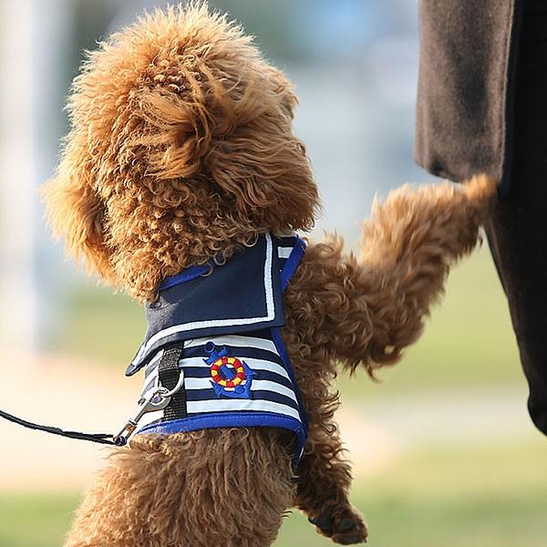 犬 ハーネス リード セット セーラー ベスト ハーネスベルト 首輪 散歩グッズ マリンハーネス 春 かわいい 誕生日 ギフト 送料無料 |  | 11