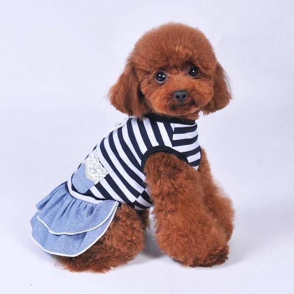 犬 デニム 風 ワンピース スカート かわいい ふりふり レース チワワ トイプー ドッグウェア ドッグ ウェア 春服 犬服 犬 送料無料 |  | 04