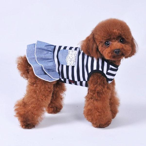 犬 デニム 風 ワンピース スカート かわいい ふりふり レース チワワ トイプー ドッグウェア ドッグ ウェア 春服 犬服 犬 送料無料 |  | 06