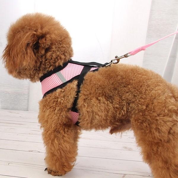 犬 ハーネス リード セット メッシュ ベスト ソフト ハーネスベルト 首輪 散歩グッズ メッシュハーネス バックル 春 かわいい 誕 |  | 14