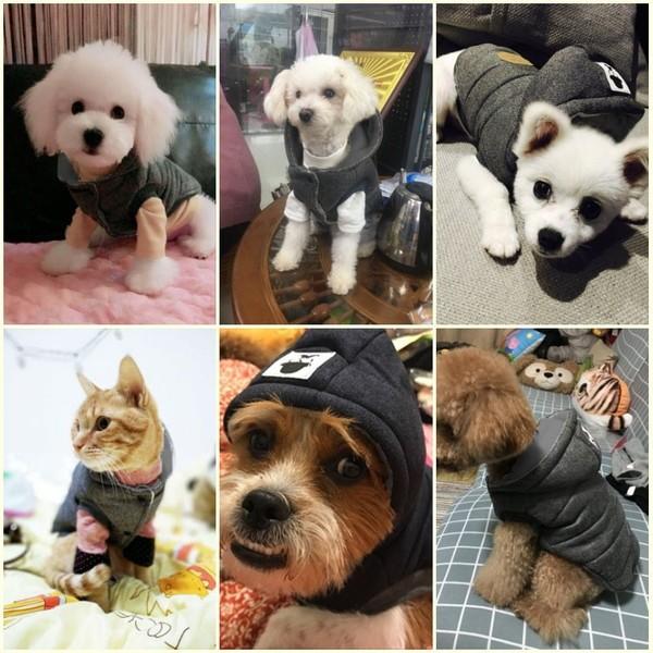 犬服 ダウン 風 ジャケット ヒゲおじさん 犬 服 安い 帽子 暖かい 裏起毛 冬服 真冬 寒さ対策 防寒 散歩 あったか 柔らかい 可愛 |  | 17