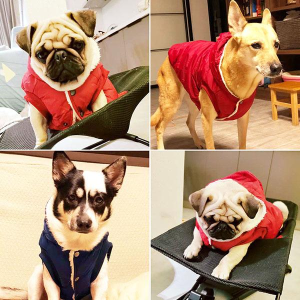 犬服 ダウン 風 ジャケット 暖かい 裏起毛 冬服 犬 服 安い 寒さ対策 防寒 散歩 軽い あったか 柔らかい かわいい ドッグウェア |  | 23