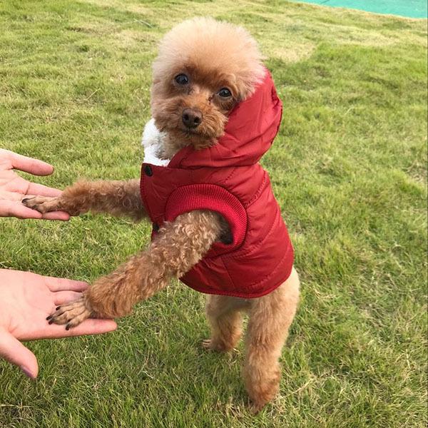 犬服 ダウン 風 ジャケット 暖かい 裏起毛 冬服 犬 服 安い 寒さ対策 防寒 散歩 軽い あったか 柔らかい かわいい ドッグウェア |  | 07