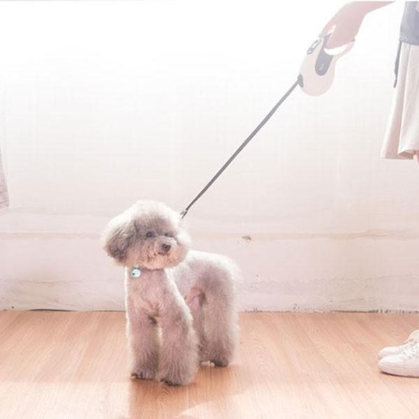 伸縮リード 犬 リード 伸びる 長い 強い 丈夫 散歩 グッズ 自動 巻き取り おすすめ 春 春用 お得 かわいい ペット用品 誕生日 ギ |  | 20