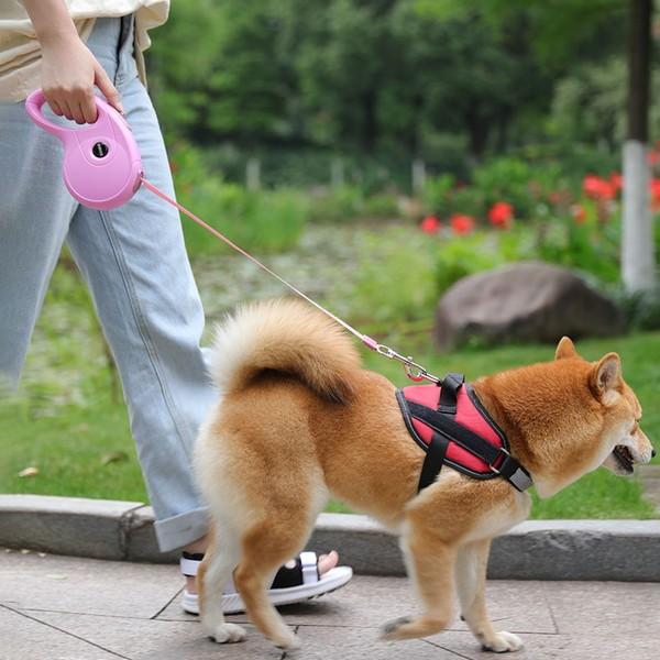 伸縮リード 犬 リード 伸びる 長い 強い 丈夫 散歩 グッズ 自動 巻き取り おすすめ 春 春用 お得 かわいい ペット用品 誕生日 ギ |  | 15