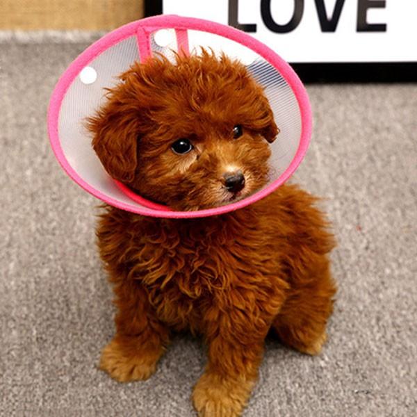 犬 エリザベスカラー 犬用 カラー ソフト 猫 エリザベス 怪我 術後 傷口 舐め 防止 保護 エリカラ 襟巻 大きい 痛くない 柔らか |  | 15