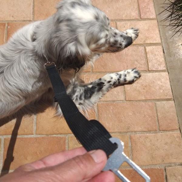 犬 シートベルト 車 グッズ カー用品 ドライブ 助手席 後部座席 犬用 ベルト おすすめ かわいい ペット用品 誕生日 ギフ  送料無料 |  | 13