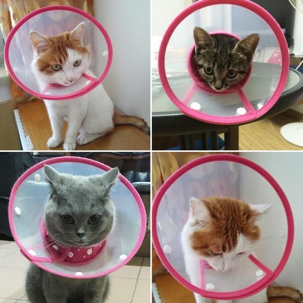猫 エリザベスカラー ネコ用 カラー ソフト 犬 エリザベス 怪我 術後 傷口 舐め 防止 保護 エリカラ 襟巻 大きい 痛くない 柔ら |  | 15