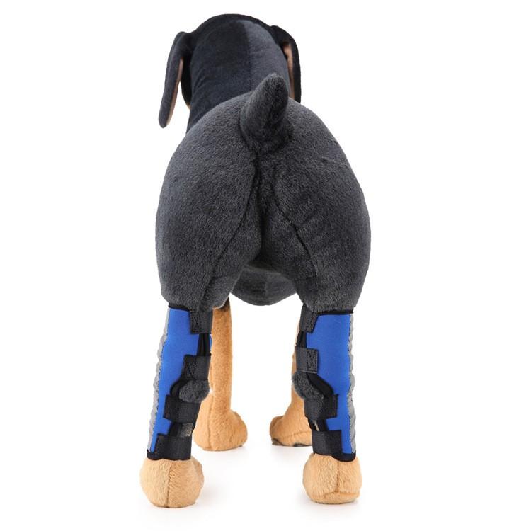 犬 関節 サポーター 膝 踵 両足 セット 反射板 プロテクター 脚 サポート 捻挫 関節炎 予防 傷口 手根 足根 保護 二次感染 術後 0511 Wavy スポーツ用品 通販 Yahoo ショッピング