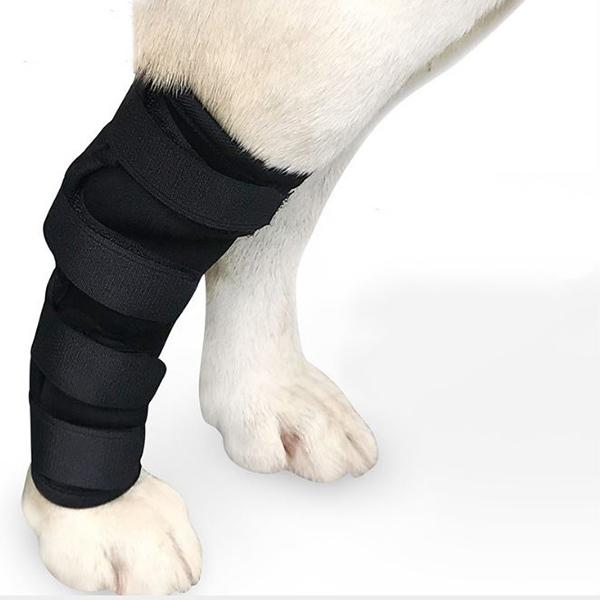 犬 関節 サポーター 膝 踵 ロング プロテクター 脚 サポート 捻挫 関節炎 予防 傷口 手根 足根 保護 二次感染 術後 リハ  送料無料 |  | 08