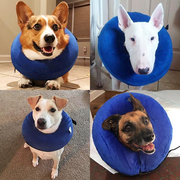 犬 エリザベスカラー 犬用 空気 カラー 浮き輪 膨らませる ソフト 猫 ムーン エリザベス 怪我 術後 傷口 舐め 防止 保護  送料無料 |  | 10
