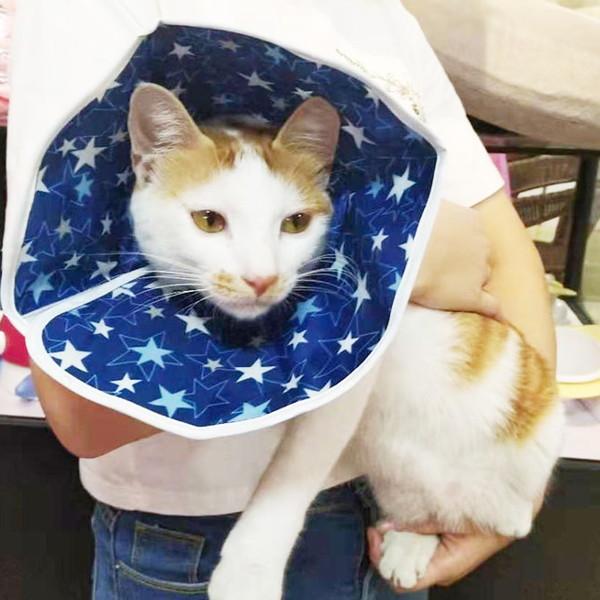 犬 エリザベスカラー 撥水 やわらかい 犬用 カラー ソフト 猫 エリザベス 怪我 術後 傷口 舐め 防止 保護 エリカラ コンパクト 収納 0517 Wavy スポーツ用品 通販 Yahoo ショッピング