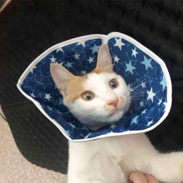 犬 エリザベスカラー 撥水 やわらかい 犬用 カラー ソフト 猫 エリザベス 怪我 術後 傷口 舐め 防止 保護 エリカラ コンパクト 収納 0517 Wavy スポーツ用品 通販 Yahoo ショッピング