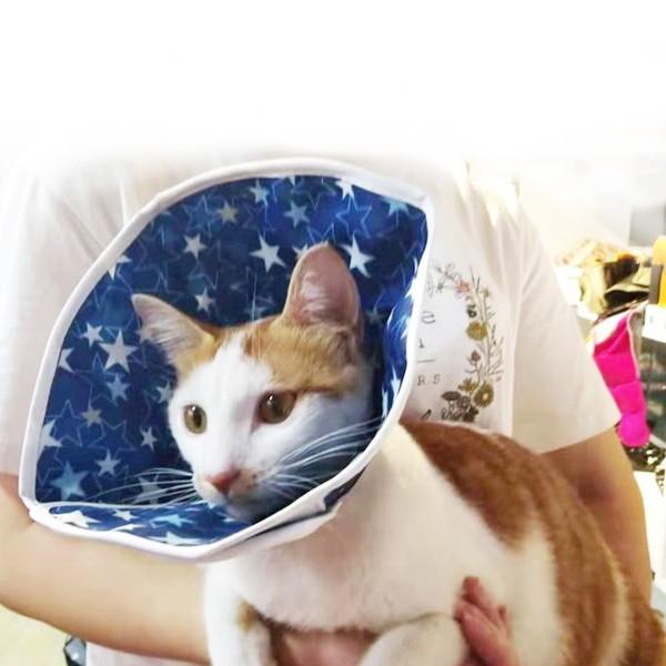 猫 撥水 エリザベスカラー やわらかい 猫用 カラー ソフト ねこ エリザベス 怪我 術後 傷口 舐め 防止 保護 エリカラ  コ 送料無料 |  | 11