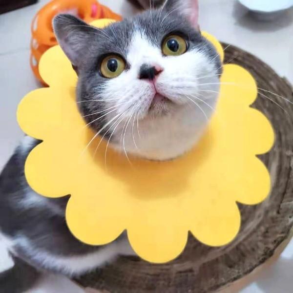 猫 ソフト エリザベスカラー フェルト やわらかい 猫用 カラー 5枚セット 犬 ねこ エリザベス 怪我 術後 傷口 舐め 防止 保護 エ |  | 06