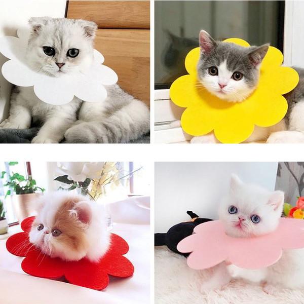 猫 ソフト エリザベスカラー フェルト やわらかい 猫用 カラー 5枚セット 犬 ねこ エリザベス 怪我 術後 傷口 舐め 防止 保護 エ |  | 07