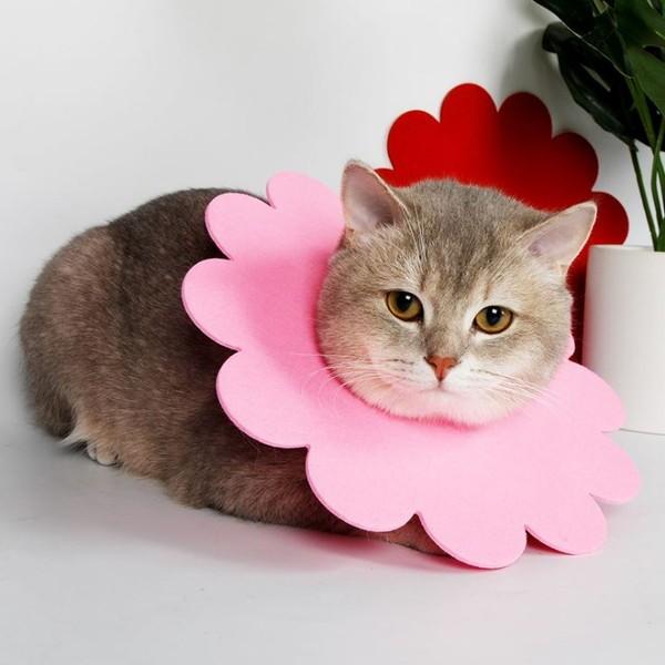 猫 犬 エリザベスカラー やわらかい フェルト ピンク 子猫 子犬 爪切り 猫 ソフト エリザベスカラー フェルト やわらかい 猫用 カラー 5枚