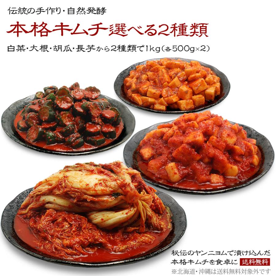 最大57%オフ! 選べる白菜キムチ2種セット 500g×2袋 ※北海道 沖縄への発送は別途800円頂戴いたします 京都ほし山 白菜ギャバキムチ 切漬け500g