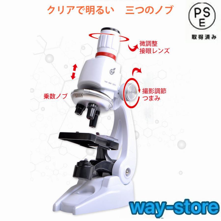 顕微鏡 100?1200倍 標本*48付き 学習用 実験 知育 生物顕微鏡と反射顕微鏡 子供の頃から科学への興味を育てる マイクロスコープ 子供用 小学生 中学生 高校生｜way-store｜12