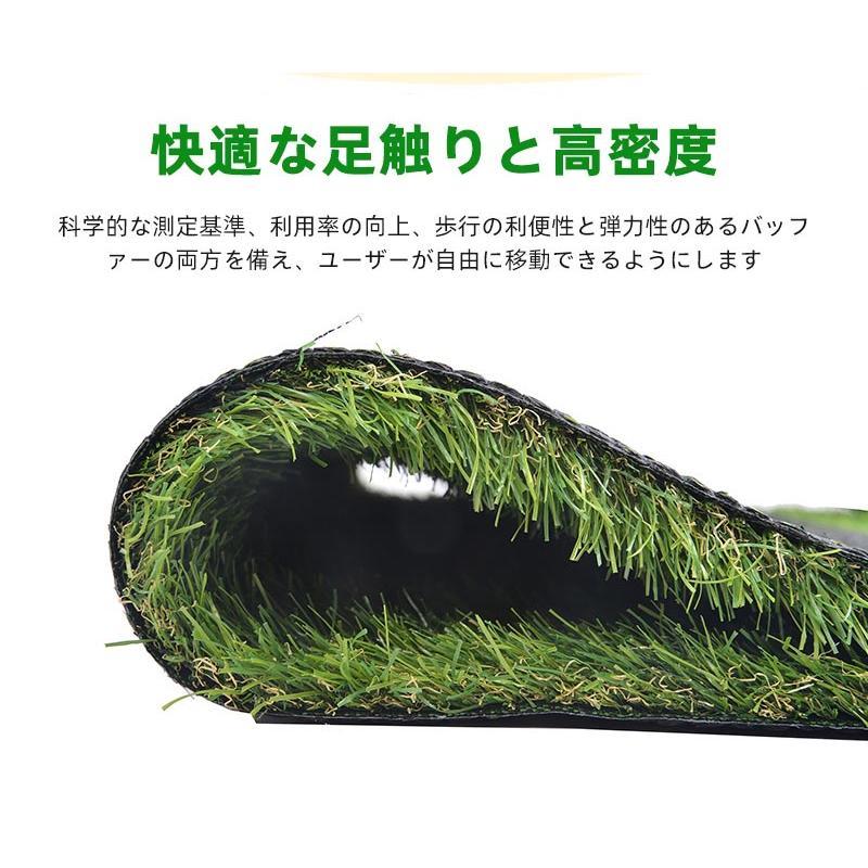 新入荷アイテム 人工芝 ロール 2m×10m 芝丈30mm ピン42本つき 3色立体感 透水草 リアル ふかふか 高品質 高密度 色落ちにくい 抜けにくい 復元性 立体感 青緑 秋色