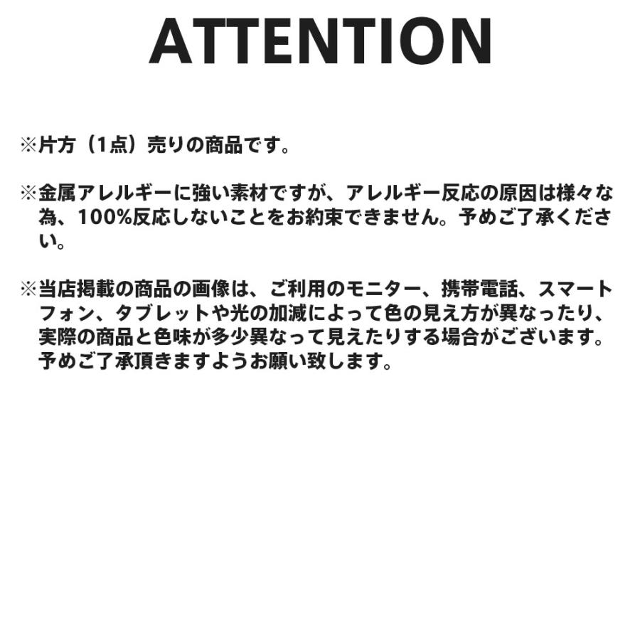 ライオンハート サークルコイン スタッズピアス サージカルステンレス シルバー 片耳用 1点売り ピアス メンズ ブランド LION HEART