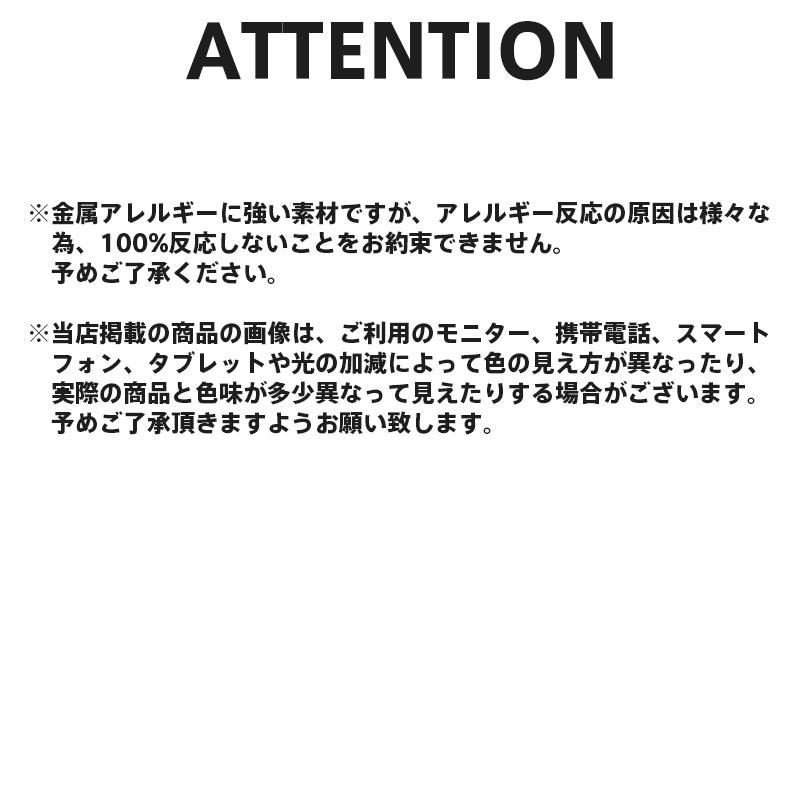 ライオンハート サンド ホースシュー ネックレス サージカルステンレス316L シルバー 馬蹄 金属アレルギー対応 メンズ ブランド LION HEART | LION HEART | 10