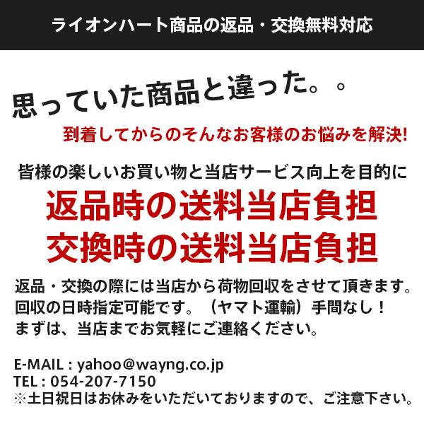 ライオンハート サンド ホースシュー ネックレス サージカルステンレス316L シルバー 馬蹄 金属アレルギー対応 メンズ ブランド LION HEART | LION HEART | 11