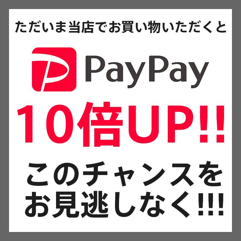 ライオンハート サンド ホースシュー ネックレス サージカルステンレス316L シルバー 馬蹄 金属アレルギー対応 メンズ ブランド LION HEART | LION HEART | 01