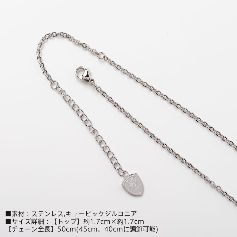 LION HEART（ライオンハート） ハウル コイン ネックレス ステンレス