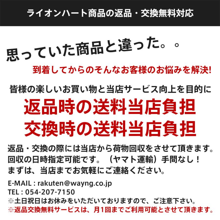 ライオンハート レオ LEO ビーズアンクレット TYPE D 淡水パールミックス＆チェーンミックス ヘマタイト メンズ ブランド アンクレット 真鍮 LION HEART｜wayng｜12