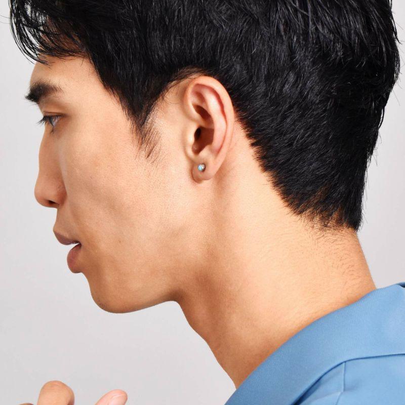 LION HEART（ライオンハート） スタッズ ピアス サークルヘリテイジ