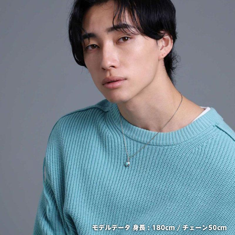 LION HEART ライオンハート “BASIC” カレッジ ネックレス
