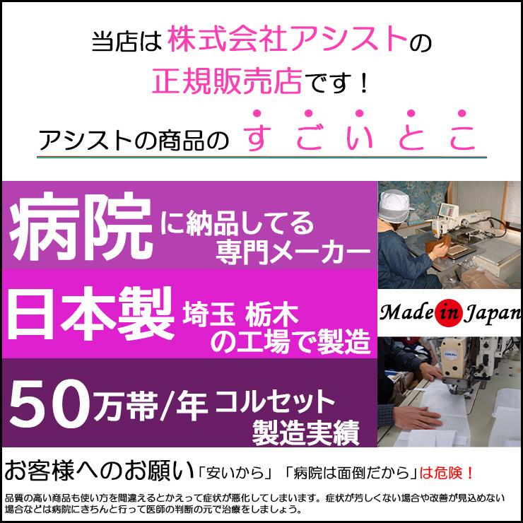 腰痛ベルト コルセット 腰痛サポートベルト サポーター ワイドベルト メッシュ 骨盤ベルト 小〜 大きいサイズ 通気性 国産 腰サポーター 医療用 ぎっくり腰 | ASSiST | 01